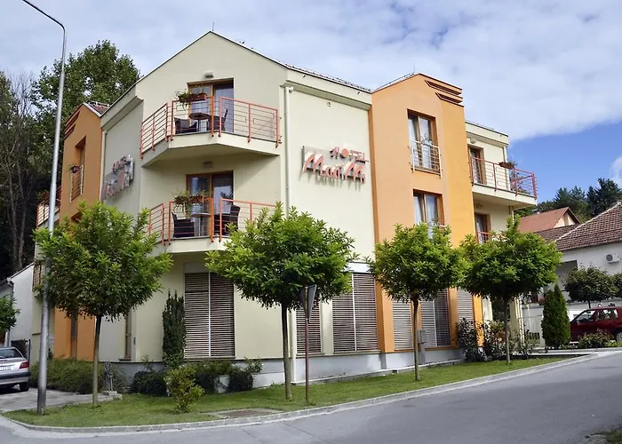 Hotel Mladimir